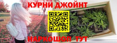 крисы Апшеронск