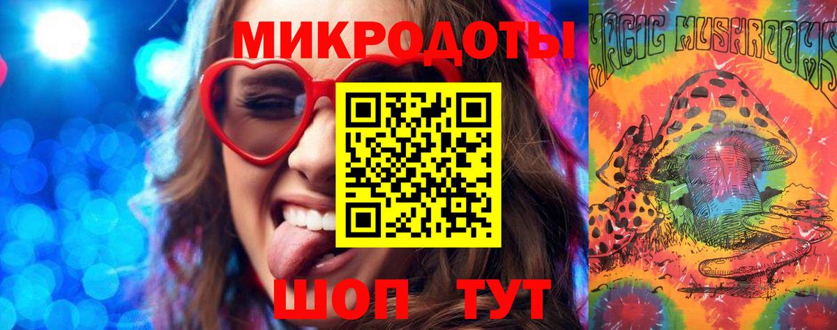 Вышний Волочёк  Псилоцибиновые грибы прущие грибы  Вход с VPN  Псилоцибиновые грибы Psilocybine cubensis 