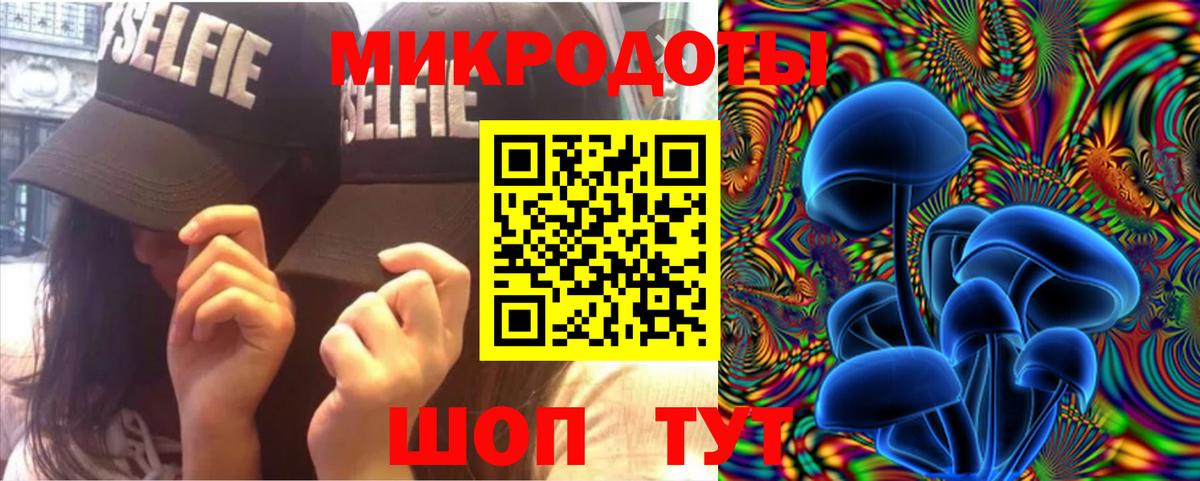 Псилоцибиновые грибы мицелий Вышний Волочёк